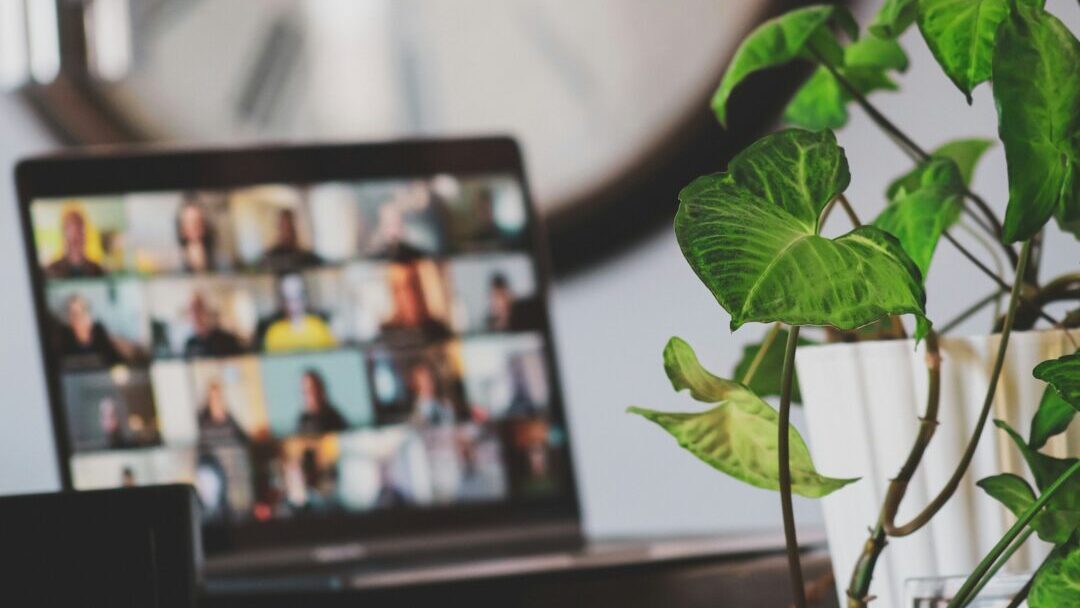 black flat screen tv turned on near green plant